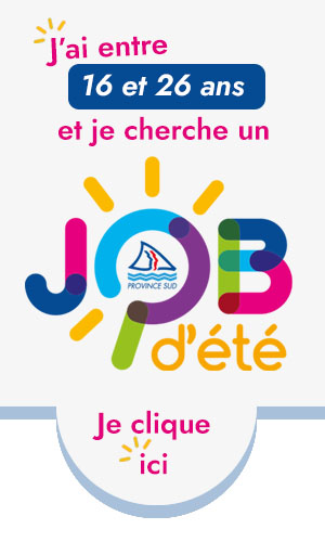 Job D Ete