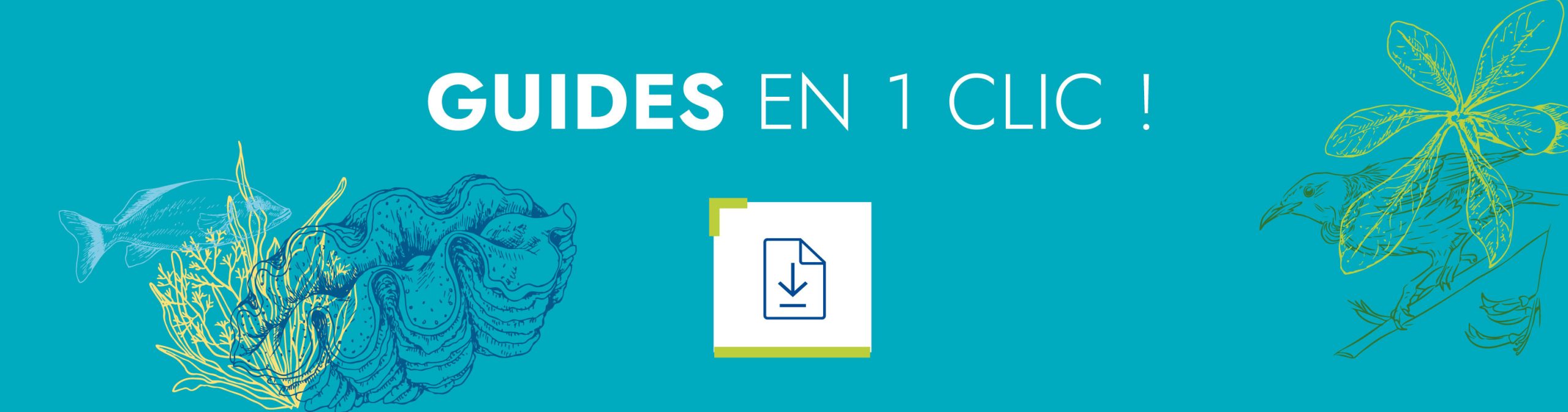 Tous nos guides en un clic !