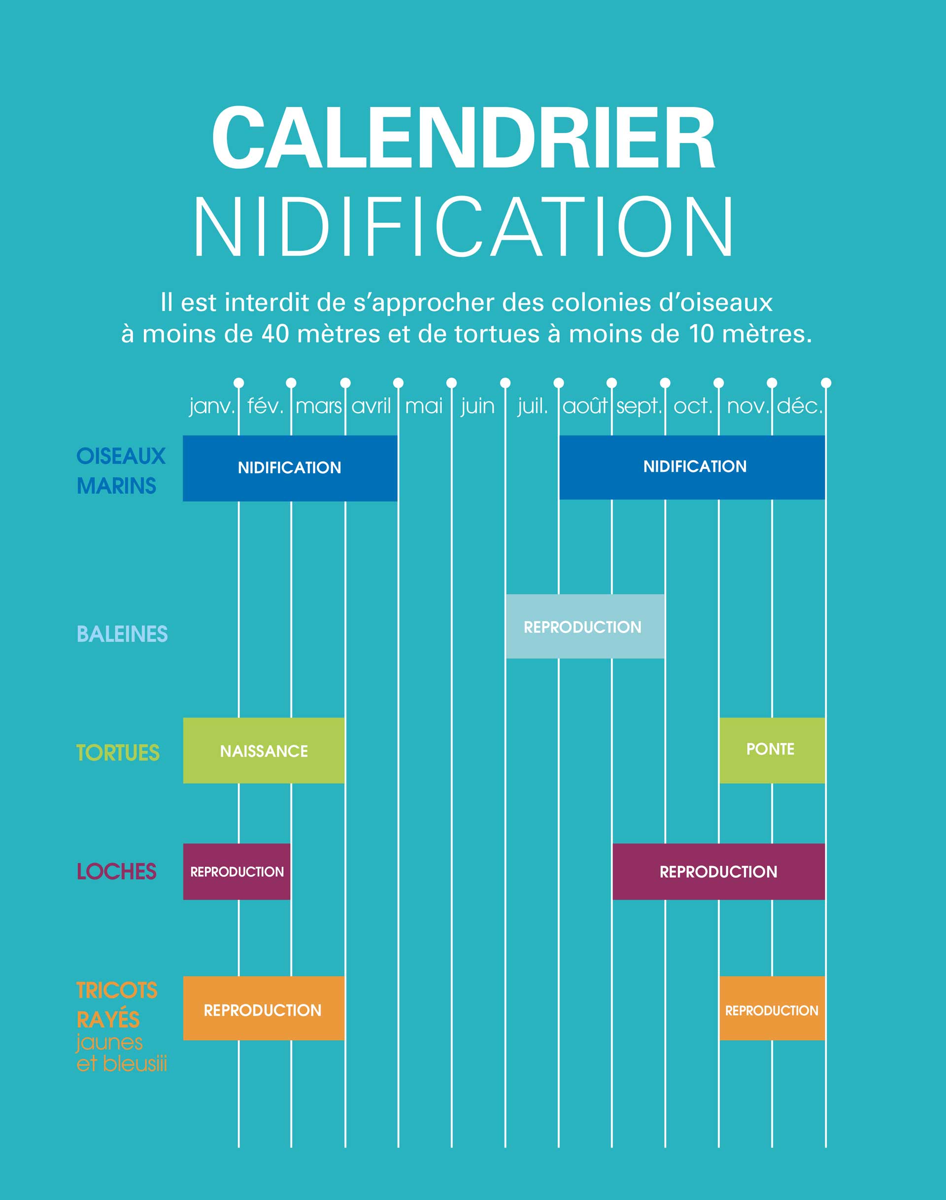 Calendrier des nidifications en province Sud