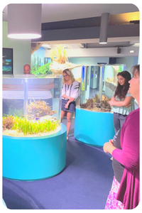 Aquarium des lagons
