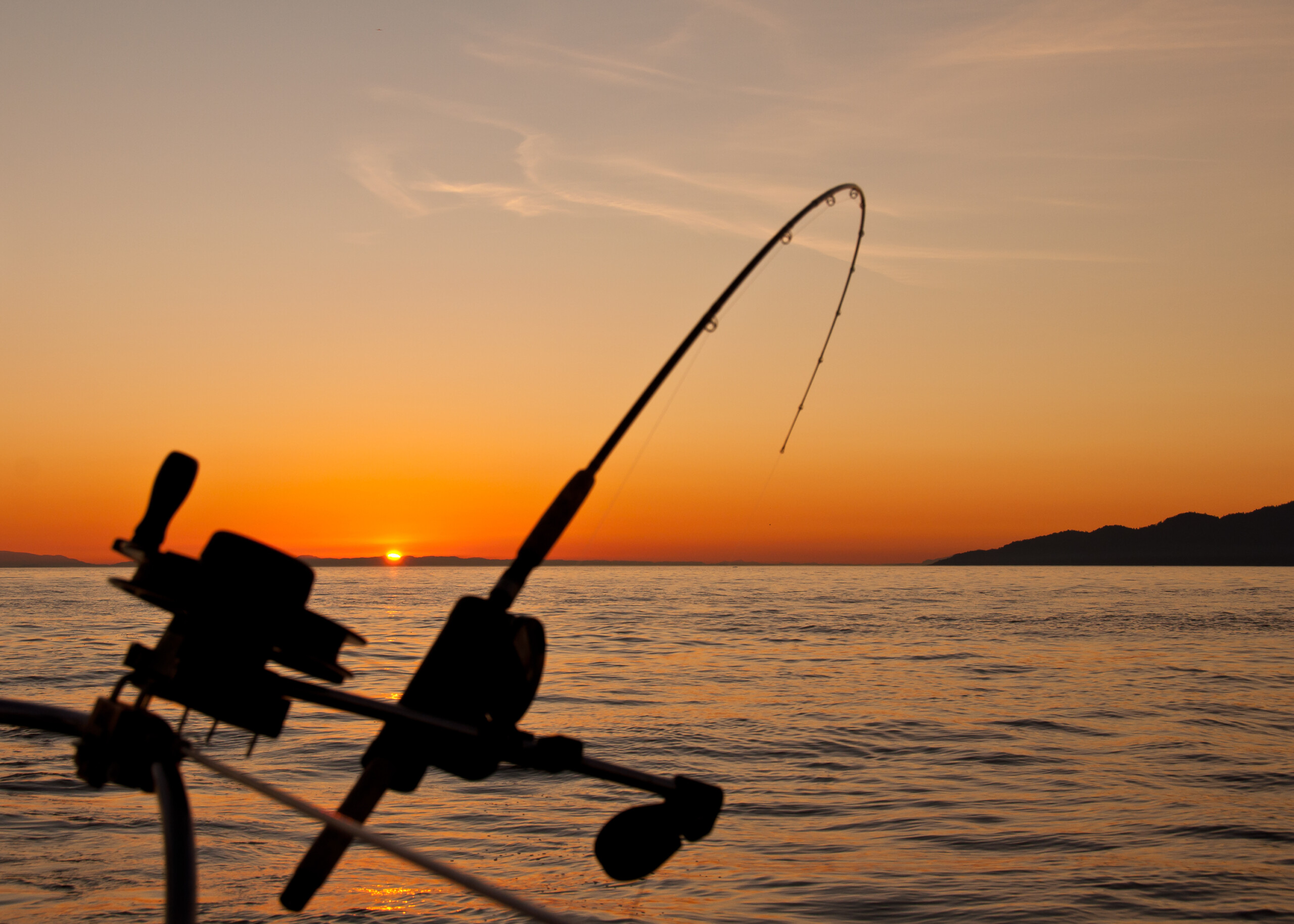 Chasse et pêche
