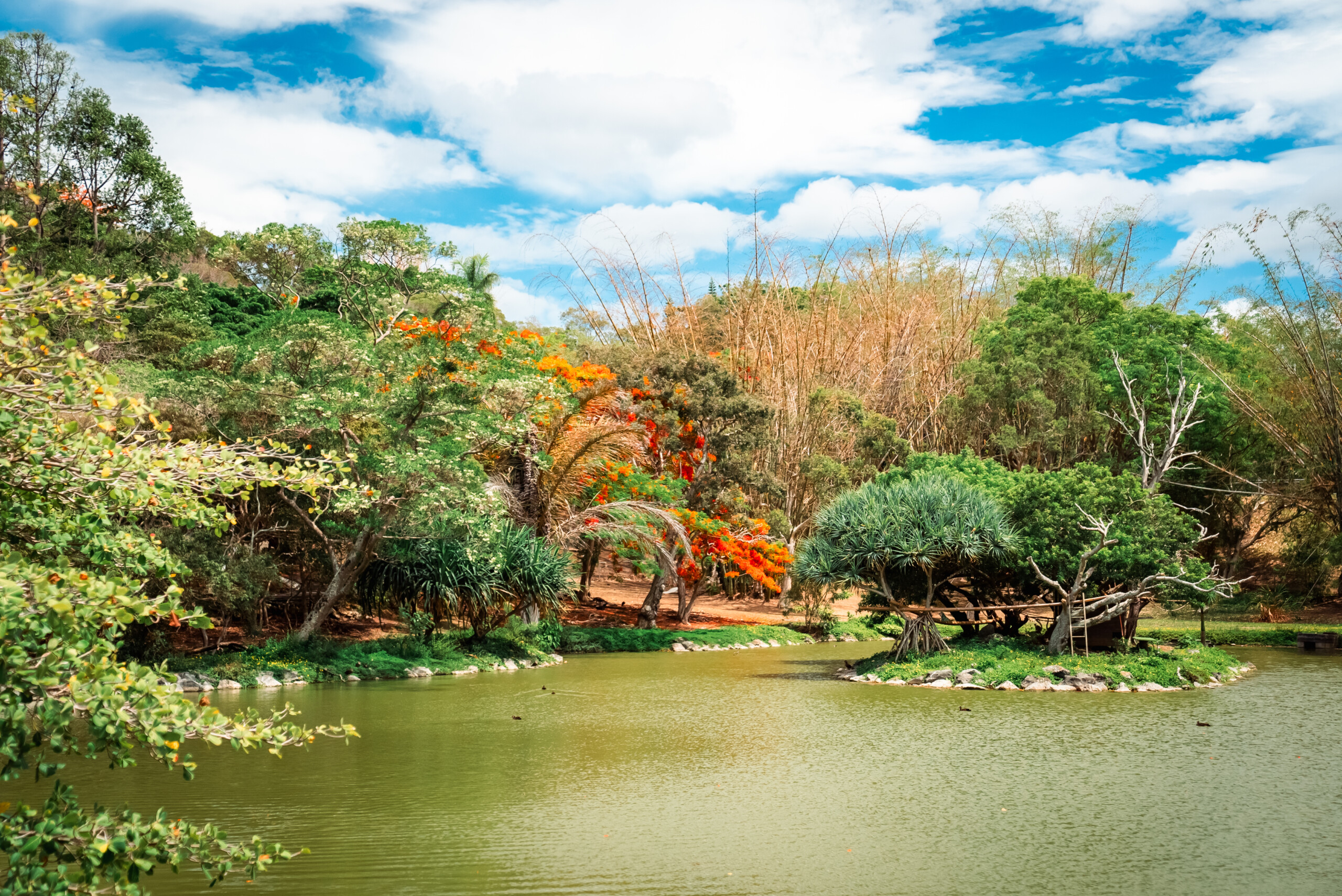 Le parc Procincial Zoologique et Forestier en photo
