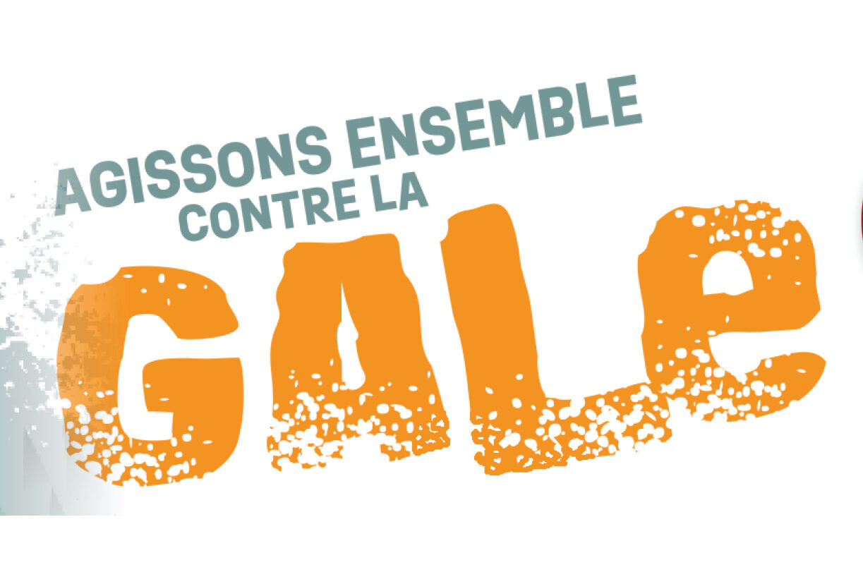 Agissons ensemble contre la gale