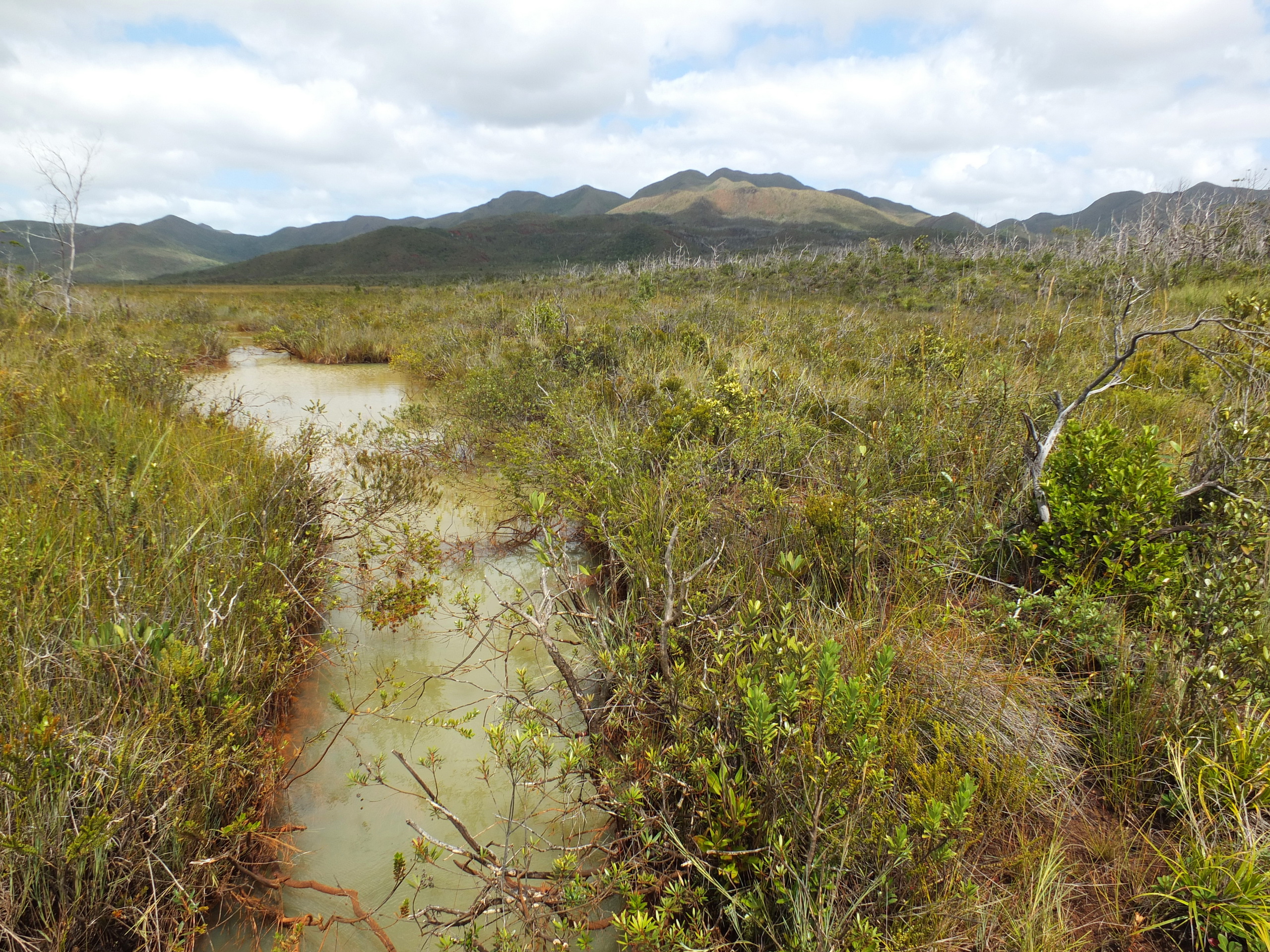 L’eau éponge. Peu connu du grand public, le creek Pernod n'en est pas moins splendide. Il promet à ses curieux et chanceux visiteurs, un cadre unique. Il tire son nom de la couleur laiteuse de son eau, associé à la marque 