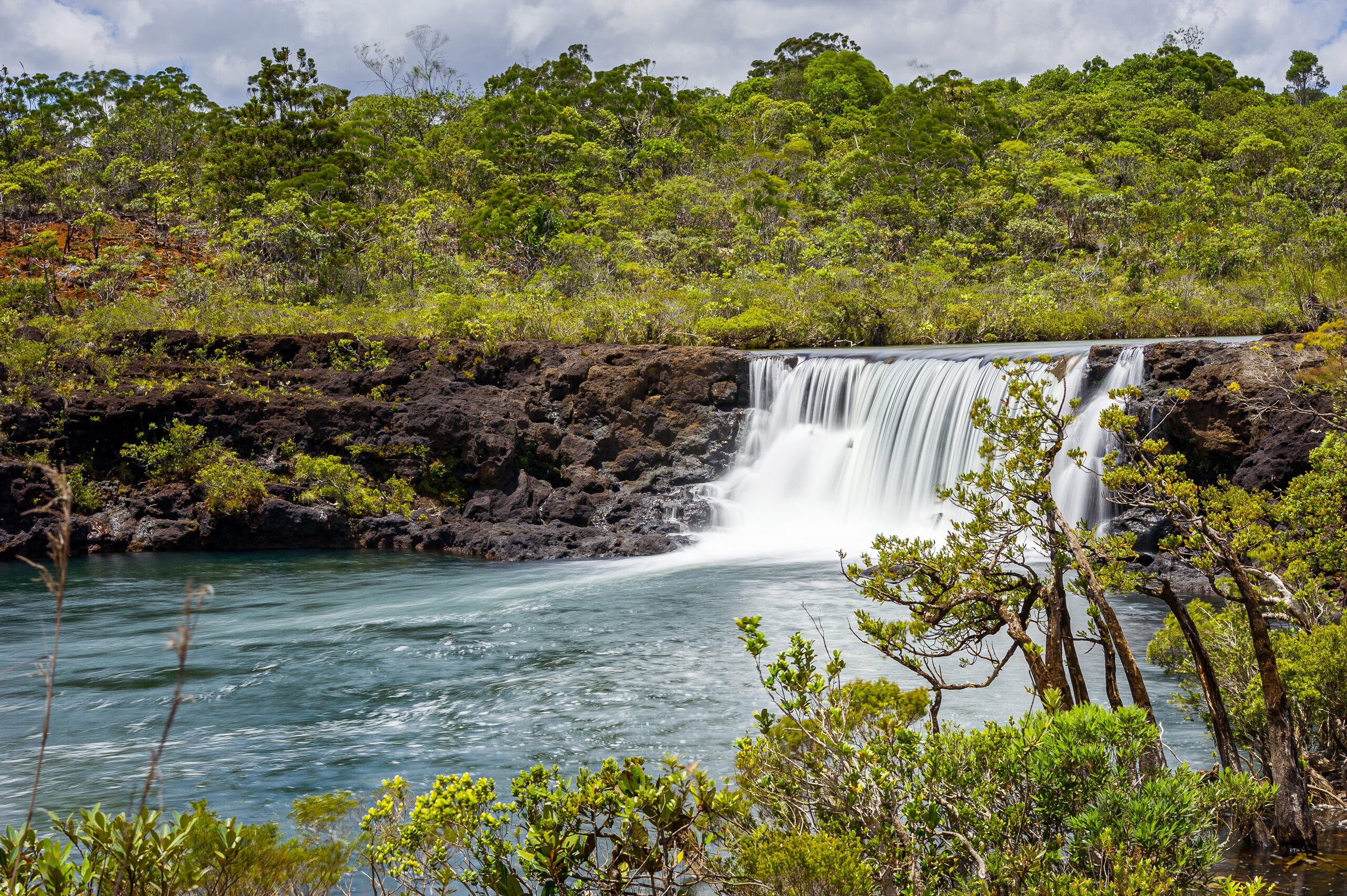 L’eau préhistorique. Les chutes de la Madeleine se trouvent dans une réserve naturelle de 400 Ha, qui recèle d’une diversité exceptionnelle, avec un taux d’endémisme incroyable. Théâtre d’un véritable voyage aux origines de la vie, à la découverte de la flore originelle de la Nouvelle-Calédonie. La flore de la réserve est notamment remarquable par la présence, le long de la rivière, de 7 conifères primitifs, vestiges de l'ère secondaire. Tandis que, sous l'eau, un groupement végétal unique constitue l'habitat du poisson Galaxias neocaledonicus, véritable fossile vivant du Gondwana.