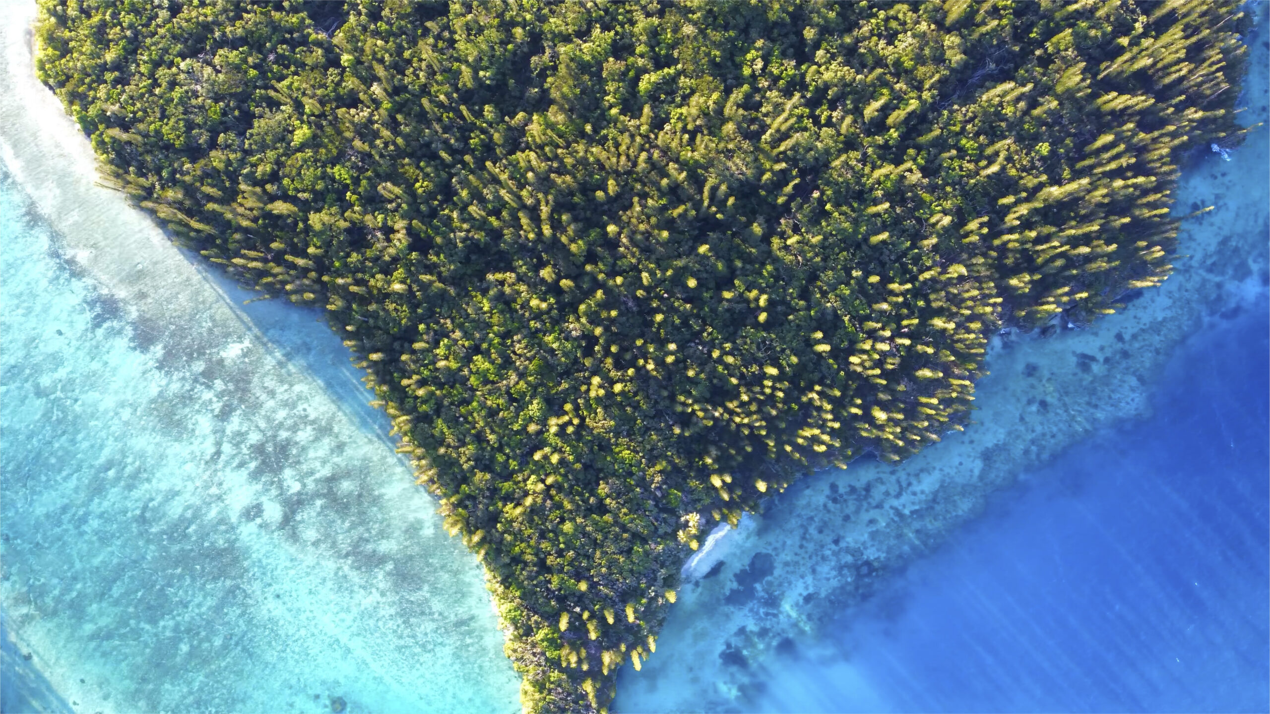 Les plages de la province Sud
