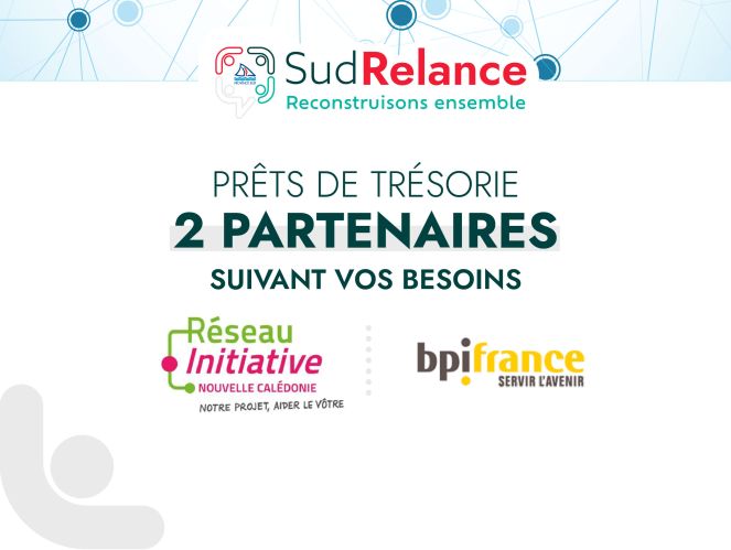 Banner with SudRelance branding and the French caption about treasury loans, plus partner logos Réseau Initiative Nouvelle-Calédonie and bpifrance.